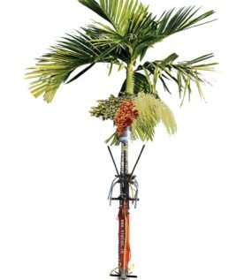 Arecanut Tree Climber