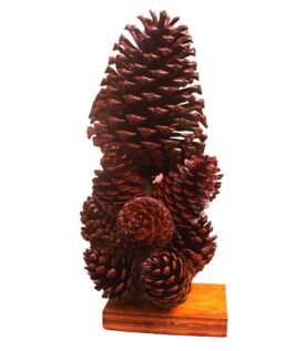 Natural Pine Cones Flowers