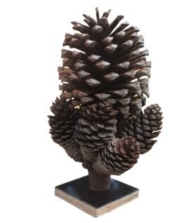 Natural Pine Cones Flowers