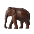 elephant-min