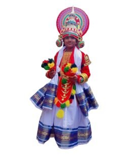 Kathakali Male Costumes - Full Set