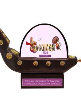 Race Boat Model Acrylic Memento