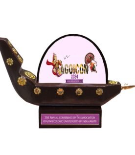 Race Boat Model Acrylic Memento