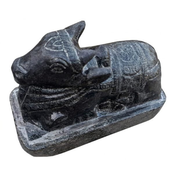 nandi NewMain