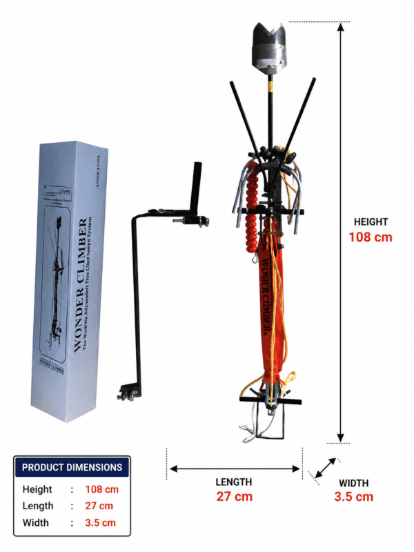 arecanut dimensions