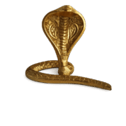 snake 17 1