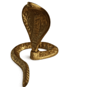 snake 17 2