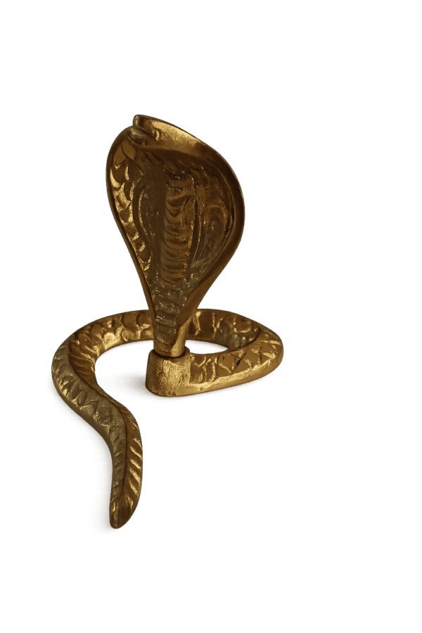 snake 17 2 snake 17 2