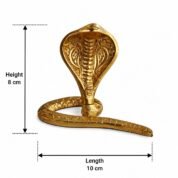 snake inches