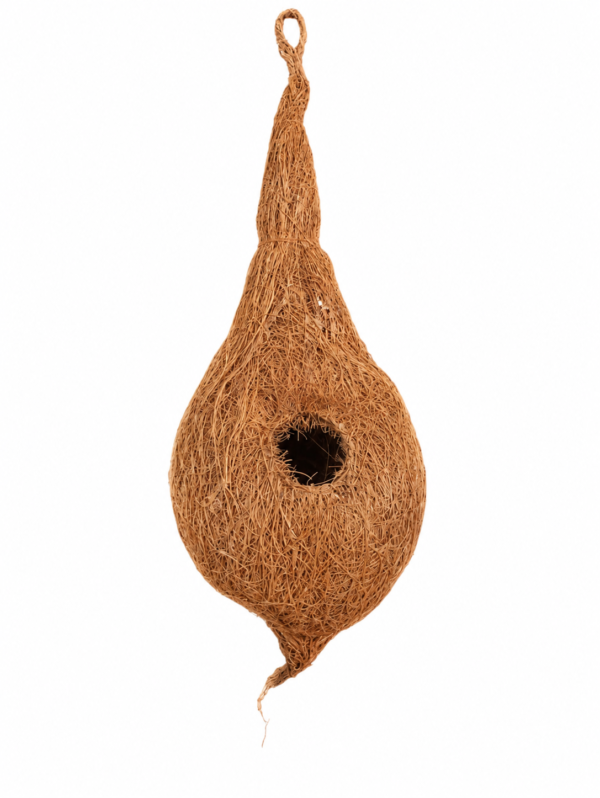 nest 2 type image 1 nest 2 type image 1