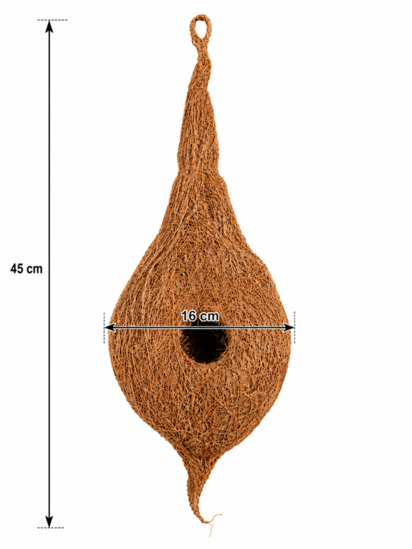 nest 2 type image 3 nest 2 type image 3