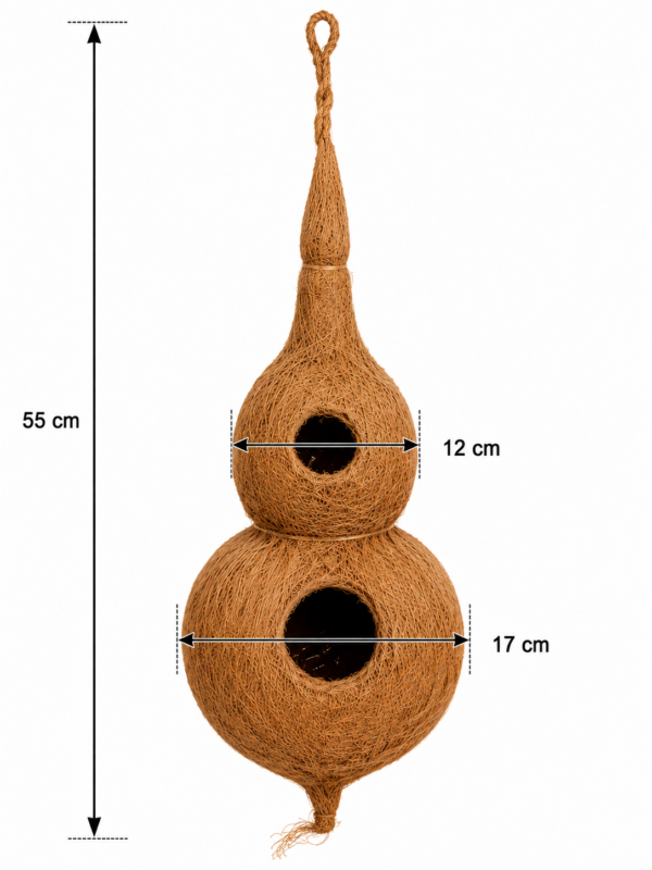 nest 3 type image 3 nest 3 type image 3