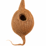 nest image 1