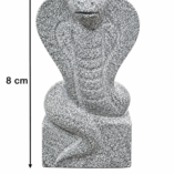 snake idol image 2